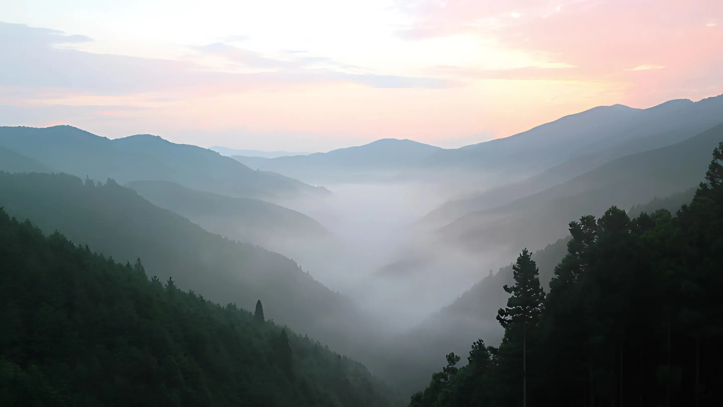 いきいきつながる会の想い