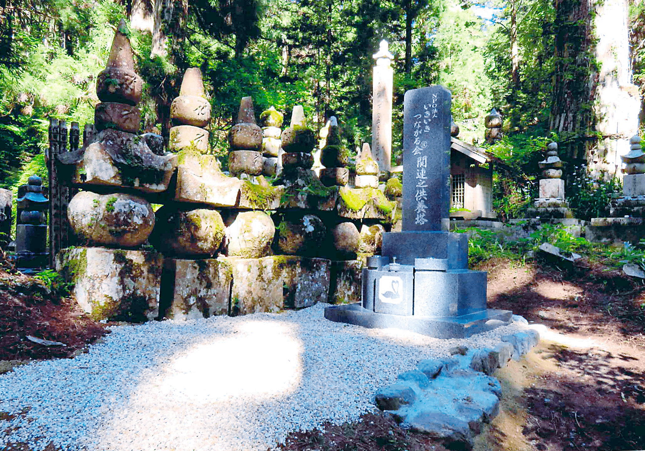 知らないと大変?初めての墓じまい完全ガイド