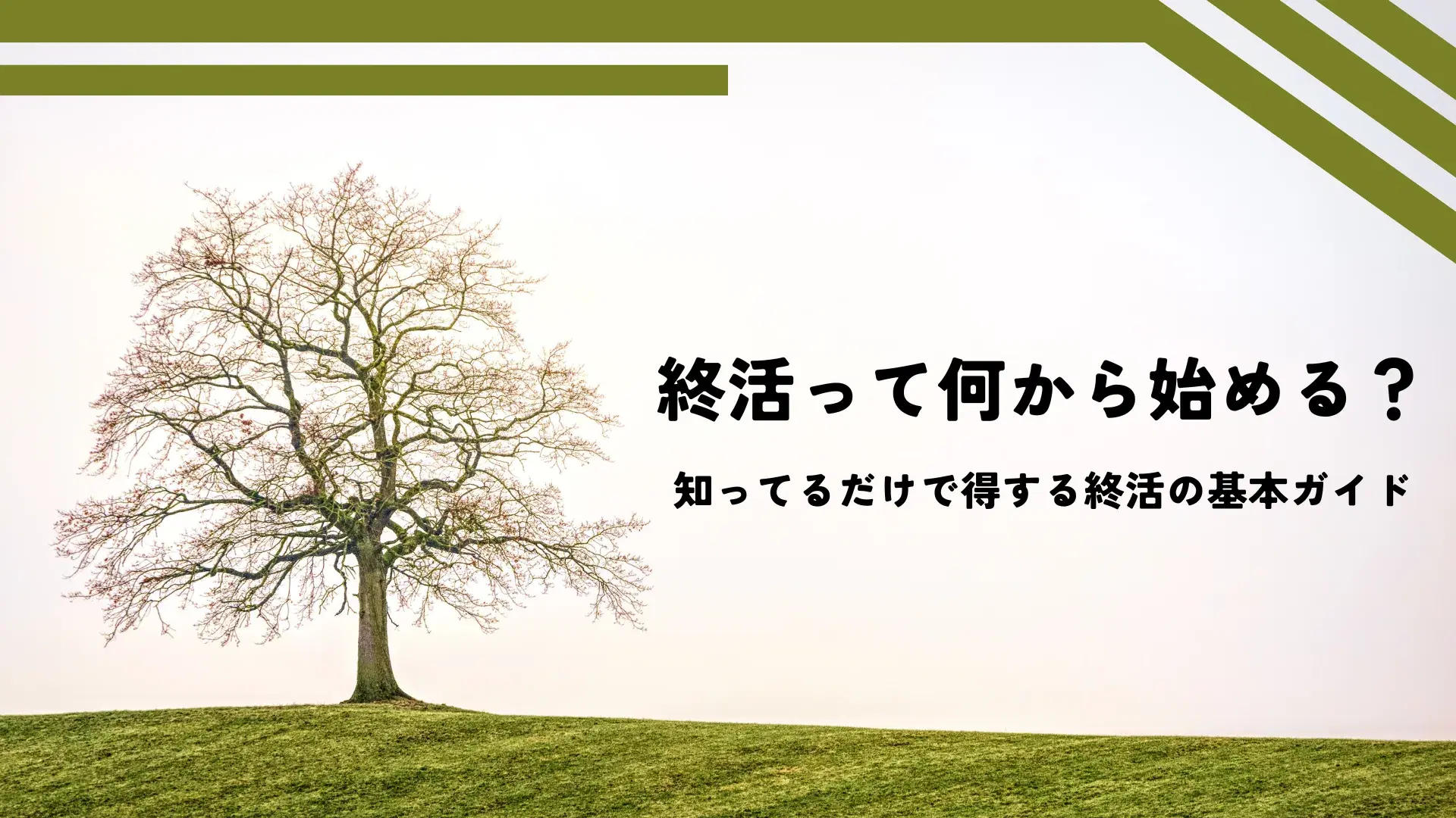 終活って何から始める?今さら聞けない基本ガイド