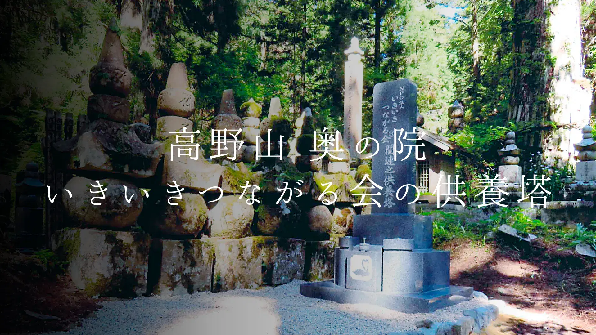「高野山 奥の院 」いきいきつながる会の慰霊碑と永代供養のかたち