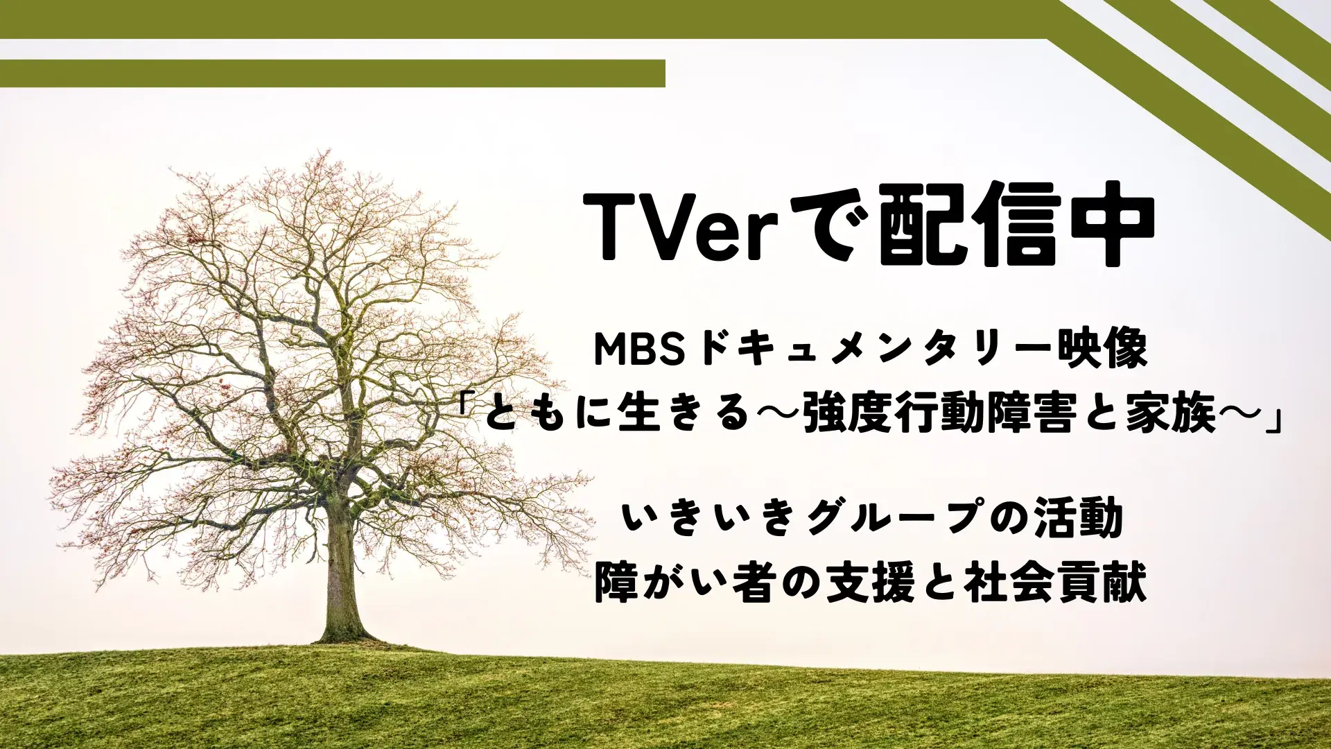 MBSドキュメンタリー映像「ともに生きる~強度行動障害と家族~」がTVerで配信中です