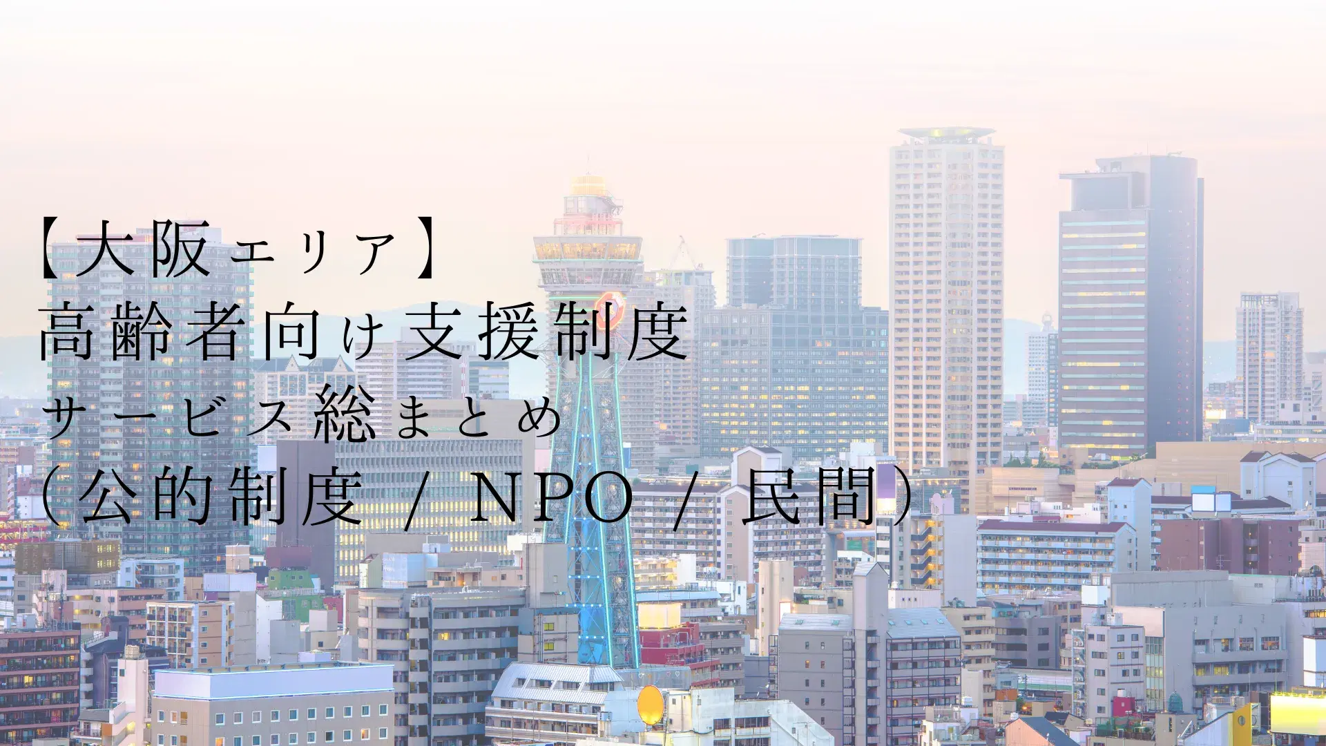 【大阪エリア】高齢者向け支援制度・サービス総まとめ(公的制度 / NPO / 民間)