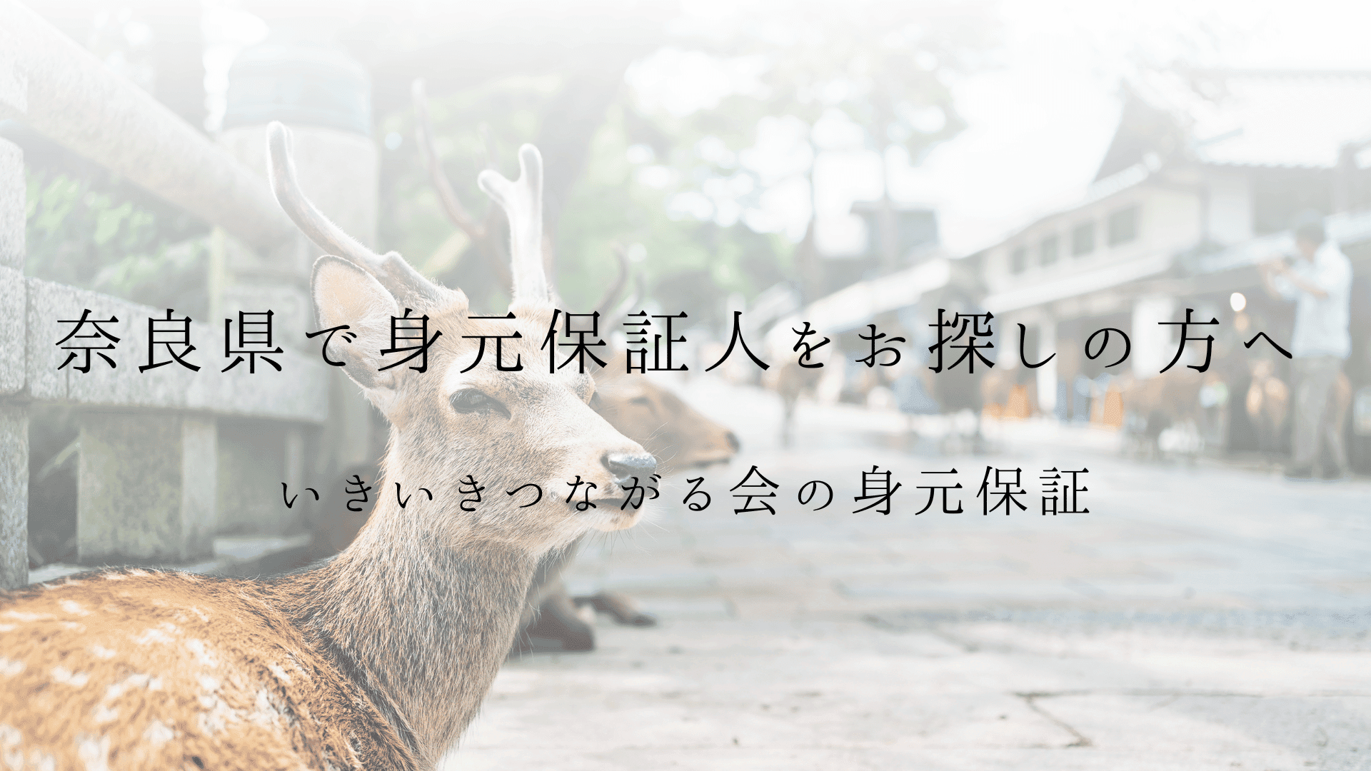 奈良県で身元保証人をお探しの方へ | いきいきつながる会の身元保証と終活