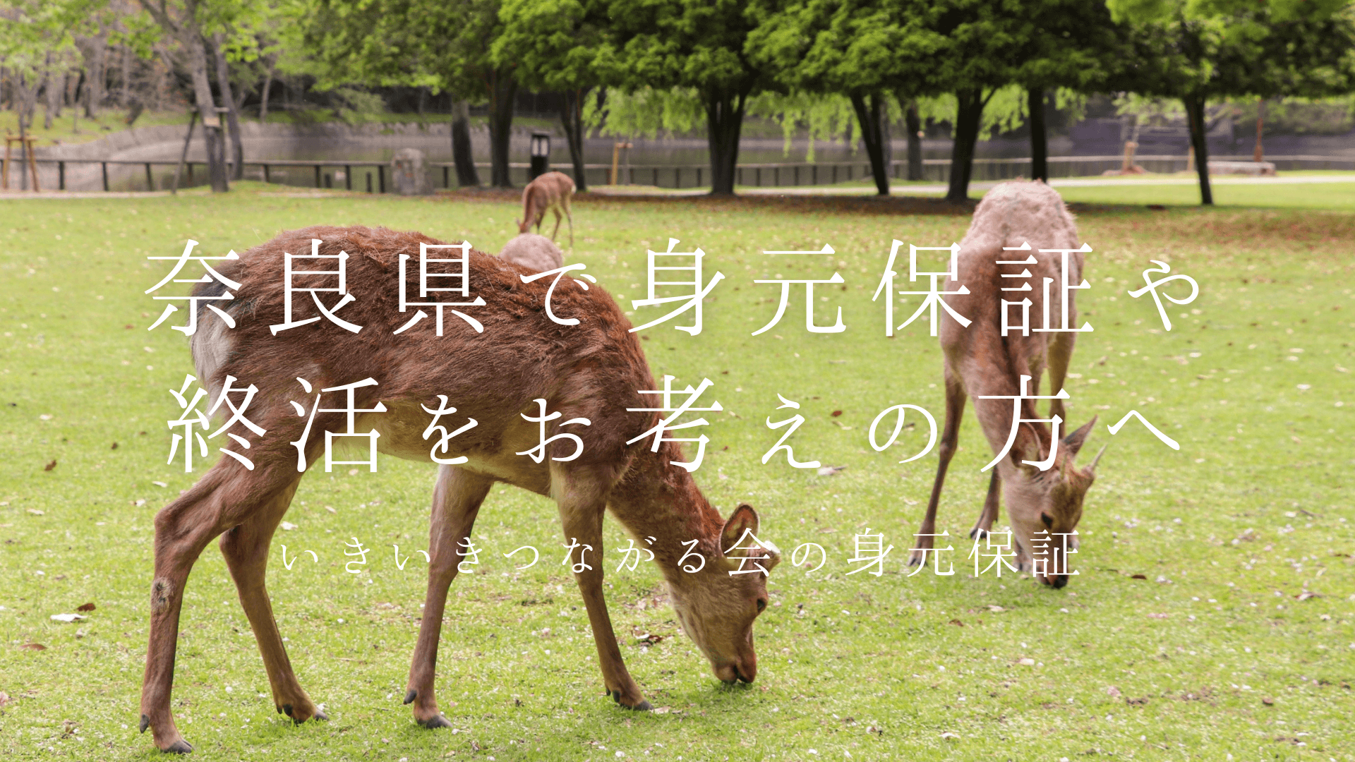 奈良県で終活・身元保証をお考えの方へ ?終活への不安と地域特有の課題?